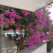 Corfu 3* - Фото отеля