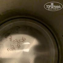 Kemal Bay 5* Муравьи и зеленый налет в чайнике - Фото отеля