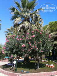 Victory Be Mine Hotel 5* - Фото отеля