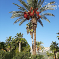 Kemer Dream 4* - Фото отеля