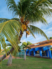 Brisas Del Caribe 4* - Фото отеля