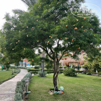 Caribbean World Soma Bay 5* - Фото отеля