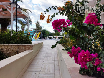 Kemer Dream 4* - Фото отеля