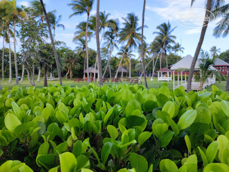Brisas Del Caribe 4* - Фото отеля