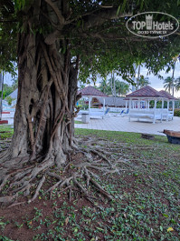Brisas Del Caribe 4* - Фото отеля
