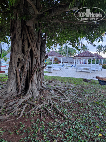 Brisas Del Caribe 4* - Фото отеля