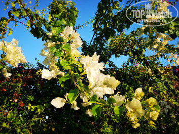 Calista Luxury Resort 5* - Фото отеля