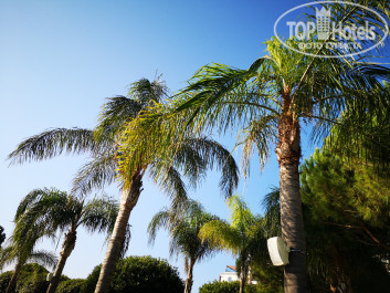 Calista Luxury Resort 5* - Фото отеля