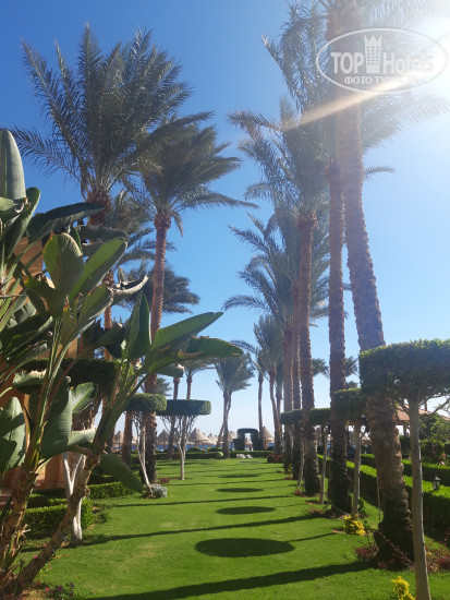 Sharm Grand Plaza Resort 5* - Фото отеля
