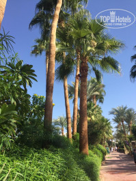 Naama Bay Promenade Beach Resort Managed By Accor 5* - Фото отеля
