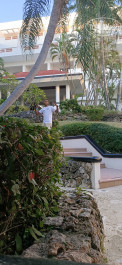 Be Live Hamaca Garden 4* - Фото отеля