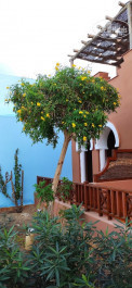 The Grand Makadi Hotel 5* - Фото отеля