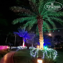 Территория отеля Ajman Hotel