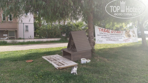 Semoris 3* - Фото отеля