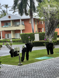 Iberostar Selection Bavaro Suites 5* - Фото отеля