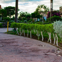 Caribbean World Soma Bay 5* - Фото отеля