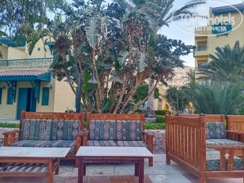 Zahabia Hotel & Beach Resort 4* Бар "Терраса" - Фото отеля