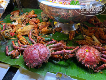 Catalonia Bavaro Beach, Golf & Casino Resort 5* - Фото отеля