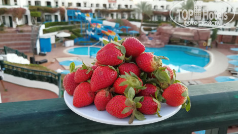 Verginia Sharm Resort & Aqua Park 4* - Фото отеля