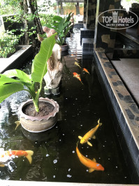 Phuket Island View 3* Лобби - Фото отеля