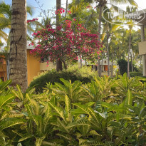Iberostar Selection Bavaro Suites 5* Вид из стандартного номера ! - Фото отеля