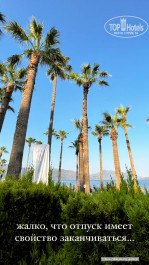 Ideal Prime Beach 5* - Фото отеля
