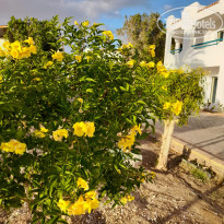 Dreams Vacation Resort Sharm El Sheikh 4* - Фото отеля