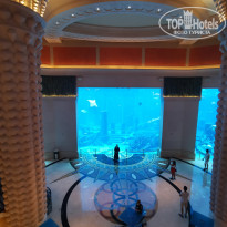 Atlantis - The Palm 5* - Фото отеля