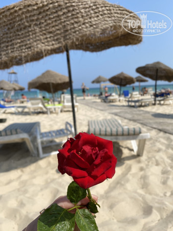 Marhaba Beach 4* - Фото отеля