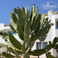 Dreams Vacation Resort Sharm El Sheikh 4* - Фото отеля