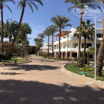 Iberotel Palace 5* - Фото отеля