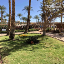 Iberotel Palace 5* - Фото отеля