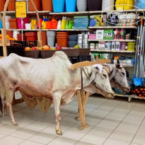 в продуктовом отделе