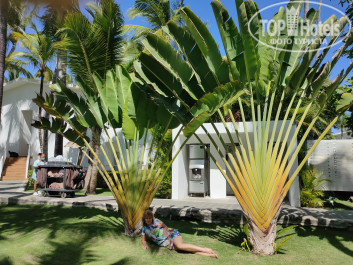 Riu Bambu ClubHotel 5* - Фото отеля