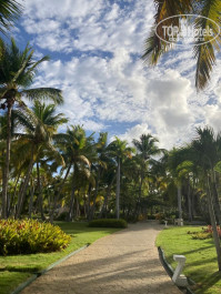 Catalonia Bavaro Beach, Golf & Casino Resort 5* - Фото отеля