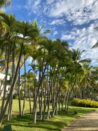 Catalonia Bavaro Beach, Golf & Casino Resort 5* - Фото отеля