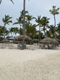 Catalonia Bavaro Beach, Golf & Casino Resort 5* - Фото отеля