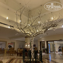 Sharm Grand Plaza Resort 5* - Фото отеля