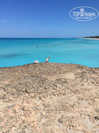 Brisas Del Caribe 4* - Фото отеля