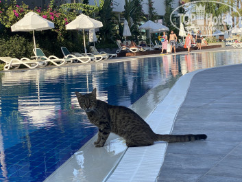 Kemer Barut Collection 5* - Фото отеля
