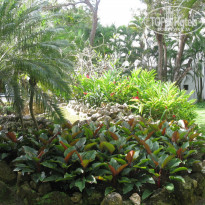 Be Live Hamaca Garden 4* - Фото отеля
