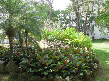Be Live Hamaca Garden 4* - Фото отеля