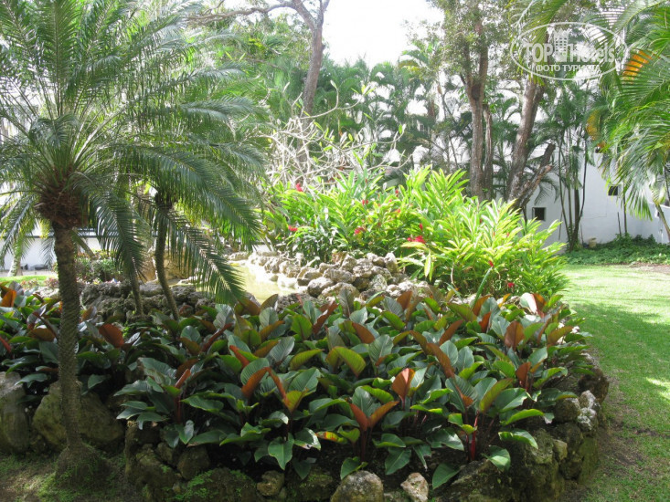 Be Live Hamaca Garden 4* - Фото отеля