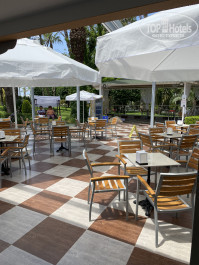 Botanik Hotel & Resort 5* бар у бассейна - Фото отеля