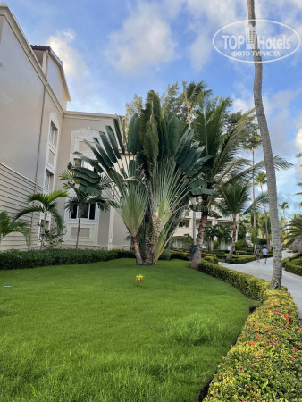 Grand Palladium Punta Cana Resort & Spa 5* - Фото отеля
