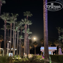 Ideal Prime Beach 5* - Фото отеля