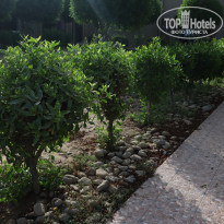 Carlton Sharjah 4* Территория чистая и ухоженная - Фото отеля