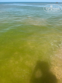 Movenpick Resort & SPA Anapa Miracleon 5* Море с тиной - Фото отеля