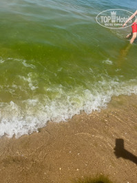 Movenpick Resort & SPA Anapa Miracleon 5* Море и так 50 метров минимум от берега сплошная тина - Фото отеля