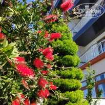 Alex Resort & Spa Hotel 4* - Фото отеля